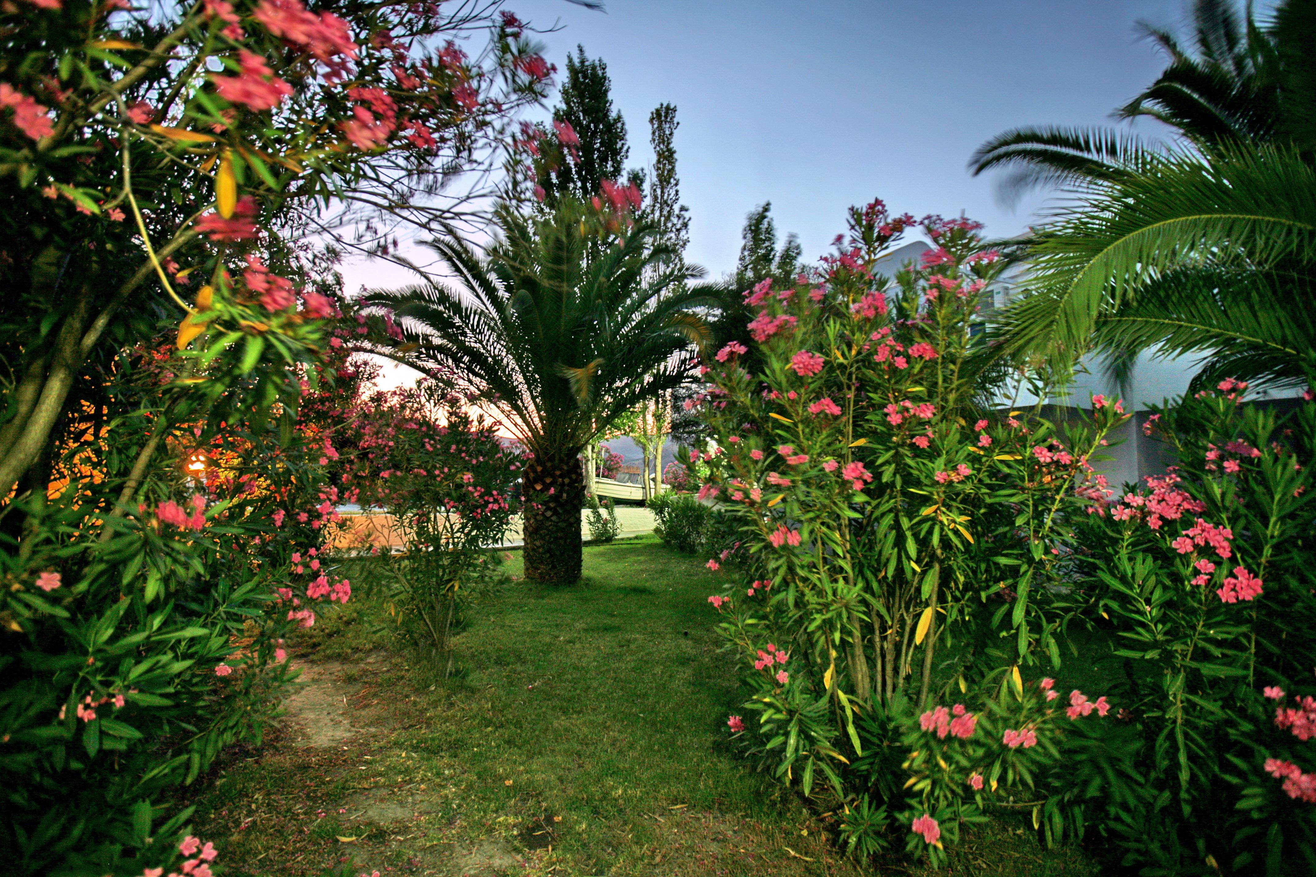 Aegeon Hotel Skala Kallonis Dış mekan fotoğraf